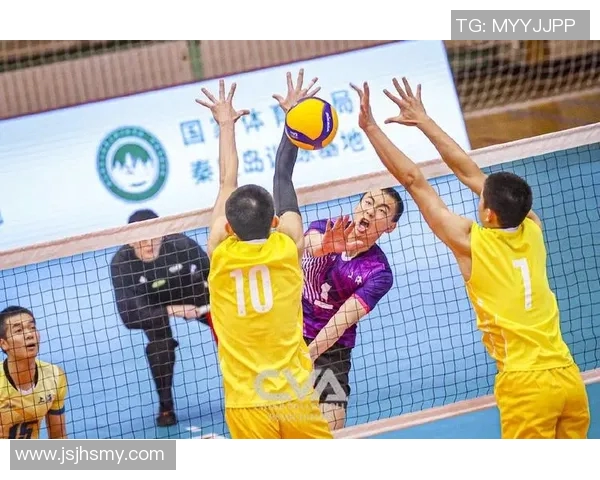 上海排球队的个人能力揭秘：排球巨献背后的故事与技巧分析
