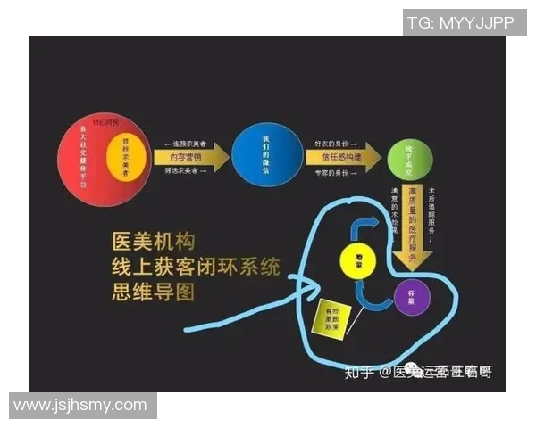 广州排球队的战术创新与运营体系探索分析