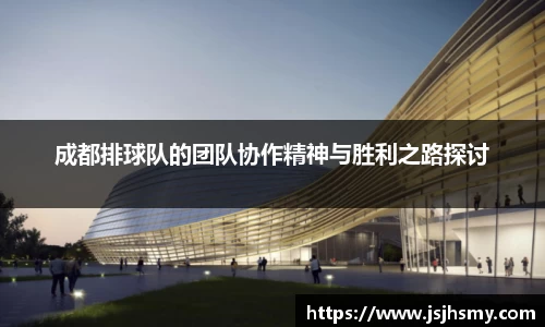 成都排球队的团队协作精神与胜利之路探讨
